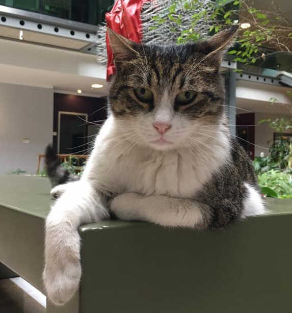 Image of Prof. Bruno