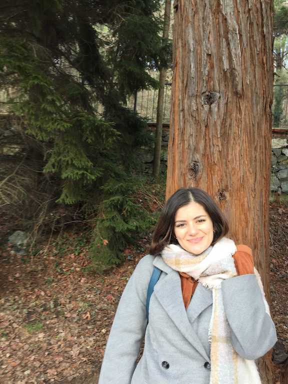 Image of Aysenur Deger Yanik