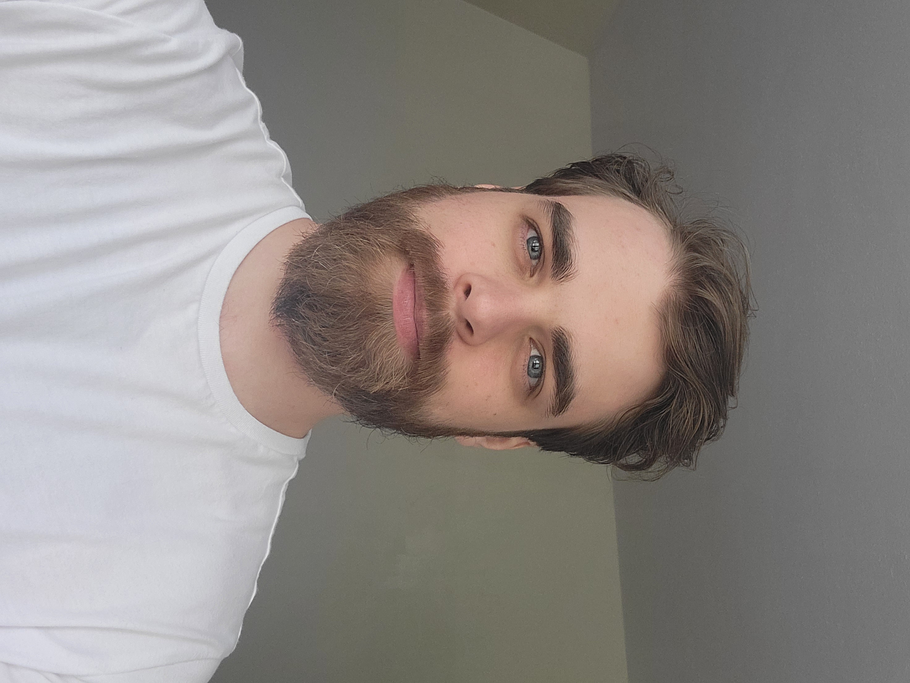 Image of Brule Woods