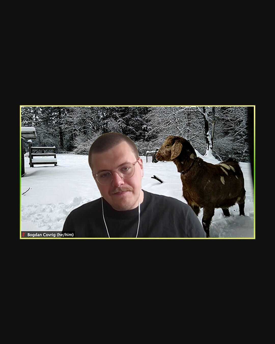 Image of Bogdan Covrig