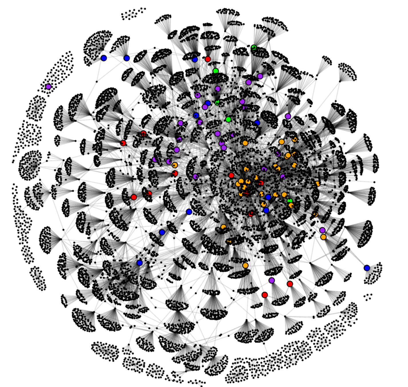 Image of Scott Renshaw